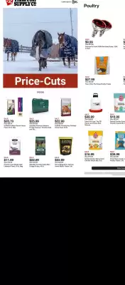 Tractor Supply Company weekly ad (valid until 26-01)