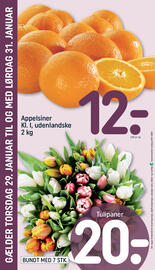 REMA 1000 tilbudsavis uge 5 Side 28