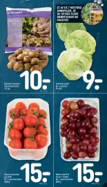 REMA 1000 tilbudsavis uge 5 Side 7