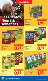 Catalogue Lidl semaine 5 page 28