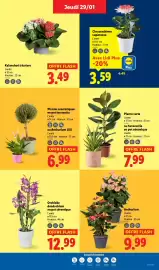 Catalogue Lidl semaine 5 page 29