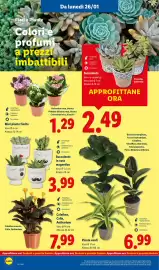 Volantino Lidl settimana 5 Pagina 38