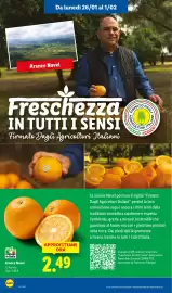 Volantino Lidl settimana 5 Pagina 6
