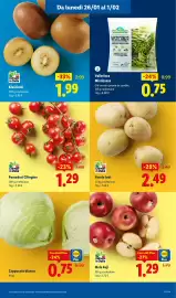 Volantino Lidl settimana 5 Pagina 7