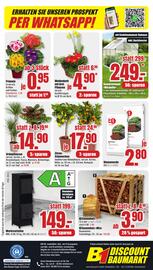 B1 Discount Baumarkt Prospekt woche 4 Seite 6