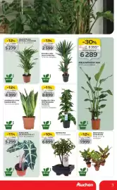 Auchan akciós újság hét 4 Oldal 3