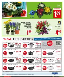 Edeka Prospekt woche 5 Seite 6