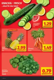 Elli Markt Prospekt woche 5 Seite 3