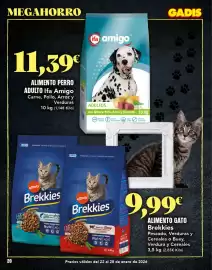 Folleto Gadis semana 4 Página 20