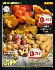 Folleto Gadis semana 4 Página 5