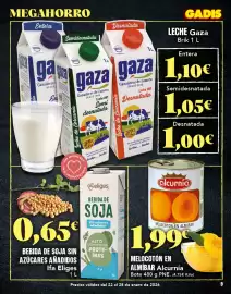 Folleto Gadis semana 4 Página 9