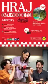 Lidl leták Strana 19