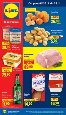 Lidl leták (platné do 28-01)