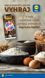 Lidl leták Strana 13
