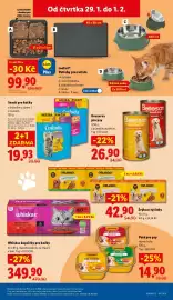 Lidl leták Strana 37