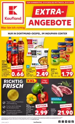 Kaufland Prospekt (gültig bis 28-01)
