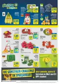 Diska Prospekt woche 5 Seite 4