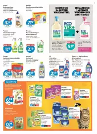 V Markt Prospekt woche 5 Seite 11