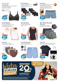 V Markt Prospekt woche 5 Seite 17