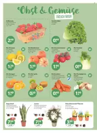 V Markt Prospekt woche 5 Seite 4