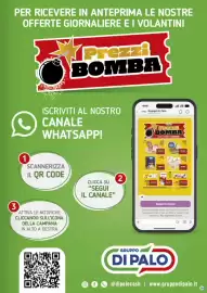 Volantino Gruppo di Palo Pagina 39