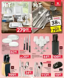 Selgros gazetka Strona 13