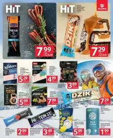 Selgros gazetka Strona 13