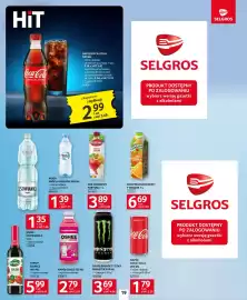 Selgros gazetka Strona 19