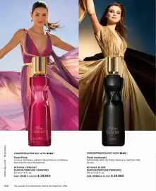 Catálogo L'Bel Página 104