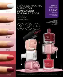 Catálogo L'Bel Página 39