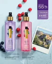 Catálogo L'Bel Página 97