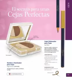 Catálogo Terramar Brands Página 121