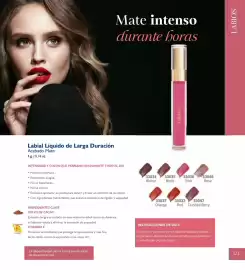 Catálogo Terramar Brands Página 123