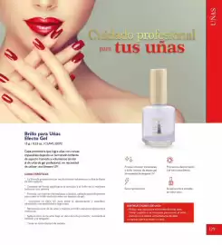 Catálogo Terramar Brands Página 129