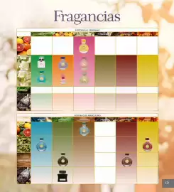 Catálogo Terramar Brands Página 131