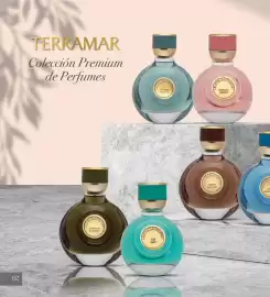 Catálogo Terramar Brands Página 132