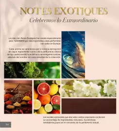 Catálogo Terramar Brands Página 134