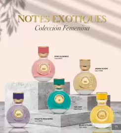 Catálogo Terramar Brands Página 135