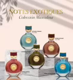 Catálogo Terramar Brands Página 141