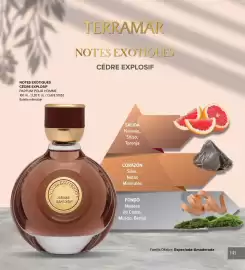 Catálogo Terramar Brands Página 145