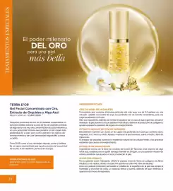 Catálogo Terramar Brands Página 28