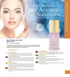 Catálogo Terramar Brands Página 29