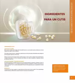 Catálogo Terramar Brands Página 31