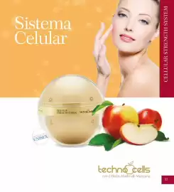 Catálogo Terramar Brands Página 33