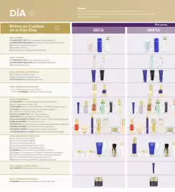 Catálogo Terramar Brands Página 4