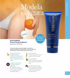 Catálogo Terramar Brands Página 67