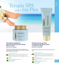 Catálogo Terramar Brands Página 69