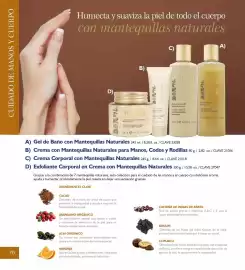 Catálogo Terramar Brands Página 70