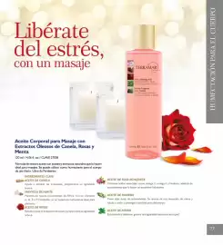 Catálogo Terramar Brands Página 77