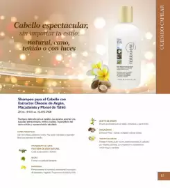 Catálogo Terramar Brands Página 83